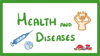 GCSE Biology  Health and Disease 33 [upl. by Zurkow]