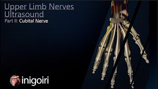 ULNAR NERVE ULTRASOUND [upl. by Cairns497]