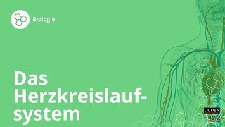 Das Herzkreislaufsystem So funktionierts – Biologie  Duden Learnattack [upl. by Preiser]