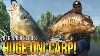 Lvl50 Weeping Willows UNIQUE Carp Method Leads amp More  Fishing Planet [upl. by Gnilrad]