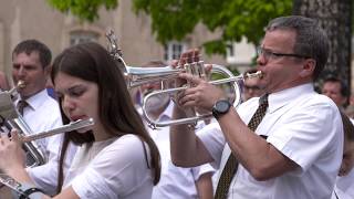 Echternach  Springprozession  Procession Dansante  Hopping Procession 2020 [upl. by Kcirrek]