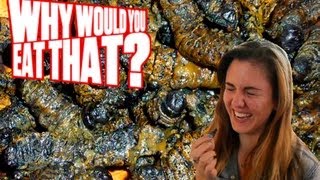 Mopane Worms aka Crunchy Caterpillars  Why Would You Eat That [upl. by Eentruoc]