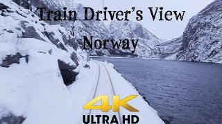 TRAIN DRIVERS VIEW Bergen  Myrdal on a windy Saturday in 4K UltraHD [upl. by Ziom]