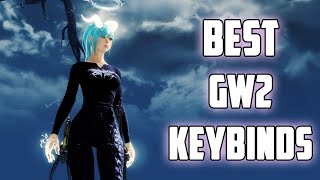 GW2  BEST KEYBINDS amp SETTINGS FOR BEGINNERS [upl. by Sewel]