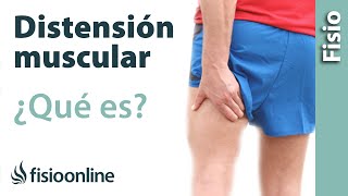 Distensión muscular o ligamentosa  Qué es cómo sucede y cuáles son sus características [upl. by Hilbert944]