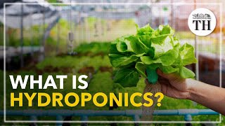 All about Hydroponics [upl. by Naivad]