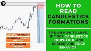 How to Read and Understand Candlestick Charts and Formations [upl. by Sinnek224]