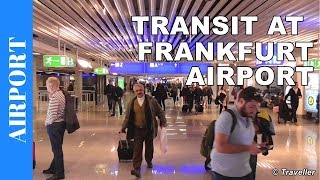 TRANSIT WALK AT FRANKFURT Airport FRA Terminal 1  Connection Flight Transfer Arriving amp Departing [upl. by Ushijima]