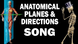 ANATOMICAL PLANES AND DIRECTIONS SONG [upl. by Ellehcyt]