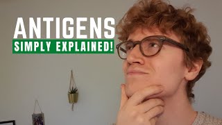 Antigens Simply Explained [upl. by Sage]