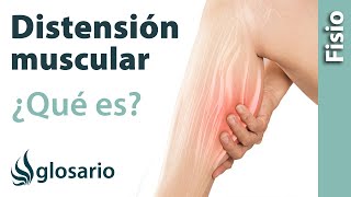 DISTENSIÓN MUSCULAR  Qué es qué afecta síntomas causas y tratamiento fisioterapéutico [upl. by Gambrill]