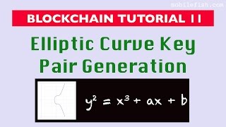 Blockchain tutorial 11 Elliptic Curve key pair generation [upl. by Aggi]