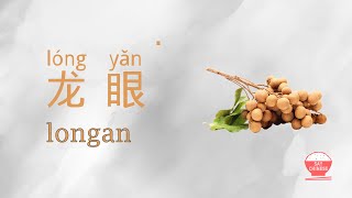 how to say longan in Chinese  龙眼 quotlong yanquot  Real Human Voice  Say Chinese [upl. by Anahsor621]