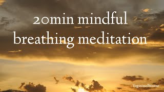 20min mindful breathing meditation  relaxation  stress relief [upl. by Eiduj]