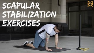 11 Scapular Stabilization Exercises [upl. by Ojahtnamas294]