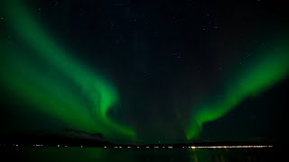 🔴10 HOURS Aurora Borealis Green Northern Lights Relaxation binaural Sleep study relaxing music🔴 [upl. by Lattonia]