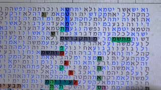 THE TWIN TOWERS IN BIBLE CODE GLAZERSON [upl. by Brig229]