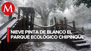 Nieve en Monterrey Visitantes acuden al parque ecológico Chipinque [upl. by Acinonrev]