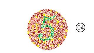 Color Blindness Test [upl. by Gwendolen]