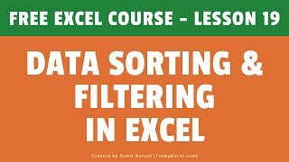 Data Sorting amp Filtering in Excel Basic  Advanced  FREE Excel Course [upl. by Mathre412]