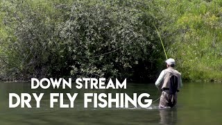 Dry Fly Fishing Down Stream  How To [upl. by Manthei]