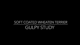 Washington State University SCWT Gulpy Study [upl. by Baten]