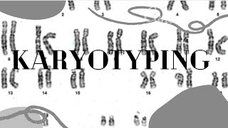 Karyotyping [upl. by Aika]