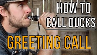 The GREETING CALL  How To Blow A Duck Call [upl. by Castora760]